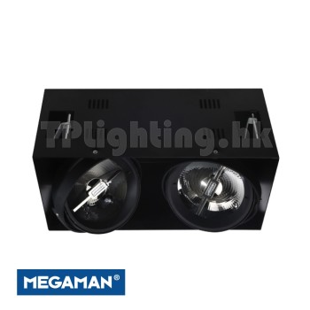 F30917RC Black Double Heads Recessed AR111 LED