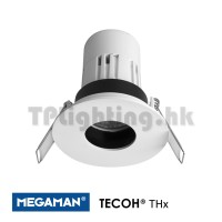F54952RC+TH0309-36D Megaman Spot light