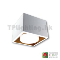 GD5901-1 WG Surface mount Light Gold Inner