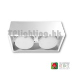GD65902 WH GX53 surface mounted light 2 heads 02