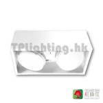 GD65902 WH GX53 surface mounted light 2 heads 03