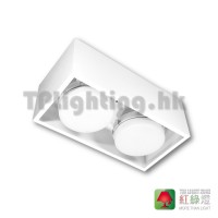 GD65902 WH GX53 surface mounted light 2 heads
