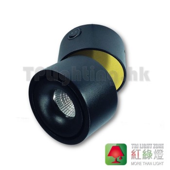GD9300s gold black wall lamp with switch