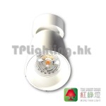 TL2017C-wh white ceiling light GU10