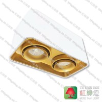 GD5812-WG white housing gold inner 盒仔燈