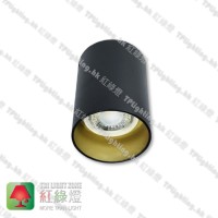 GD-30-1800BG Black surface gold inner aluminium surface mount spot light