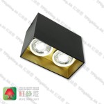 GD-30-1802BG Black surface gold inner aluminium surface mount spot light