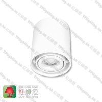 GD5640WH_03 white surface white inner aluminium surface mount spot light
