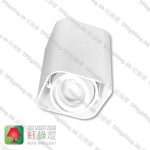 GD5641WH_03 white surface white inner aluminium surface mount spot light