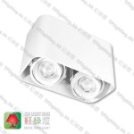 GD5642WH_03 white surface white inner aluminium surface mount spot light