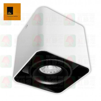 ted lighting sdg7003-wb white black surface mount light 盒仔燈