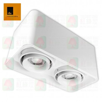 ted lighting sdg7004-wh white surface mount light 盒仔燈 01