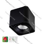 SDg-07004-BK black surface mount single spot