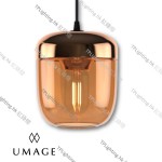 UMAGE_packshot_2215_Acorn_amber brass_4008_Canopy_black_low res