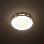 philips lighting cl553-bee light up