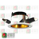 RS80WH-F-GD001 recessed spot 暗藏筒燈