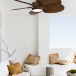 lucci air dc ceiling fan 210665 bali outdoor orb teak 風扇燈