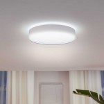 philips hue enrave L white ceiling lamp smart light 41160 wh10