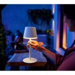 Philips hue portable wireless table lamp 智能枱燈9