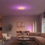 philips hue datura xl 彩色智能天花燈5