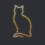 cat1@2x