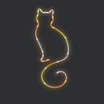 cat2@2x